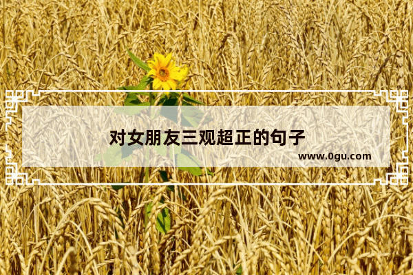 对女朋友三观超正的句子