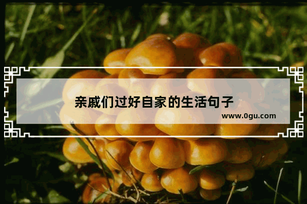 亲戚们过好自家的生活句子