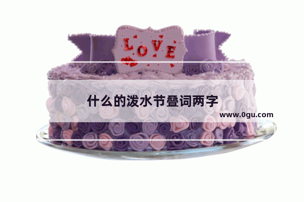 什么的泼水节叠词两字