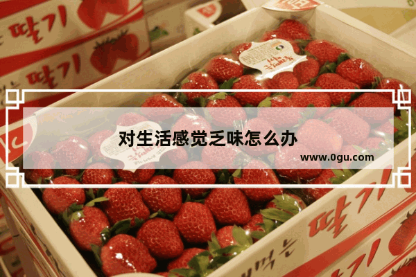 对生活感觉乏味怎么办