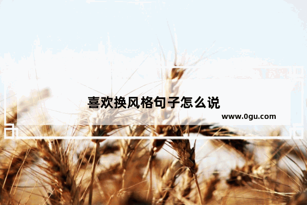 喜欢换风格句子怎么说