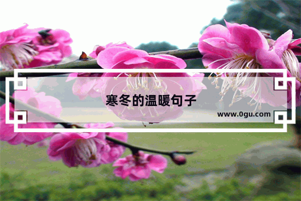 寒冬的温暖句子