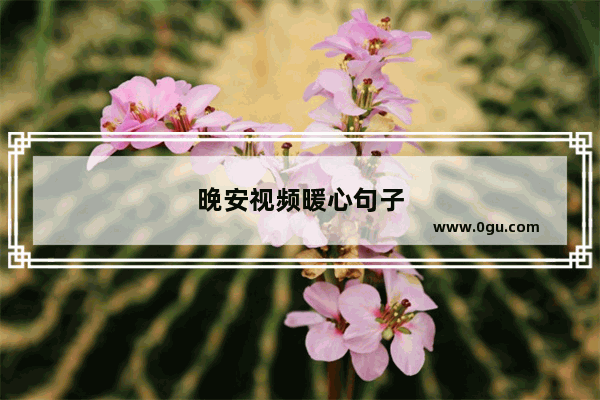 晚安视频暖心句子