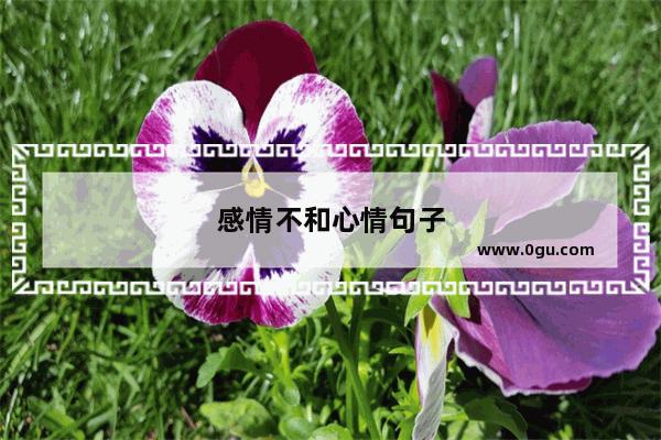 感情不和心情句子