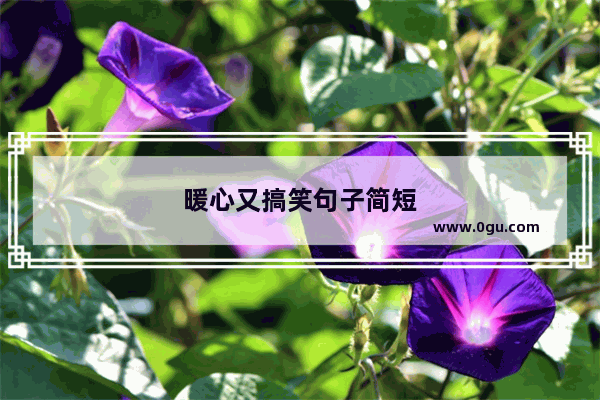 暖心又搞笑句子简短