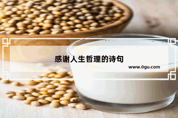 感谢人生哲理的诗句