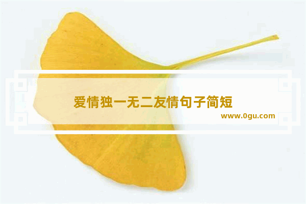 爱情独一无二友情句子简短