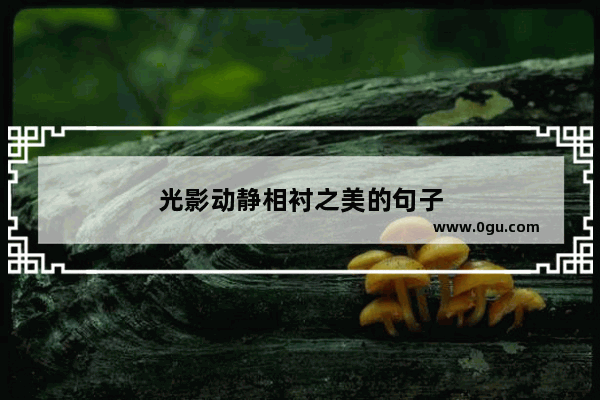 光影动静相衬之美的句子