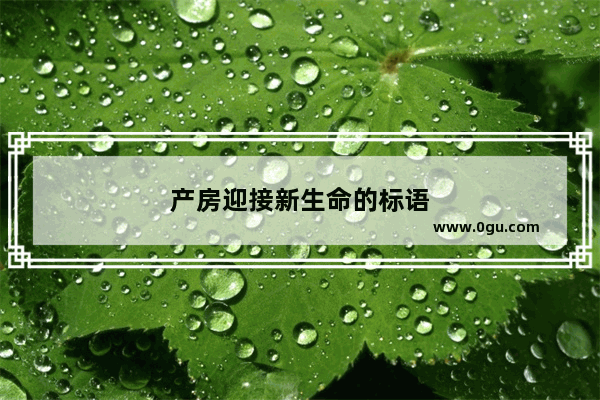产房迎接新生命的标语