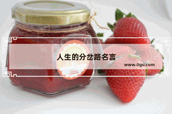 人生的分岔路名言