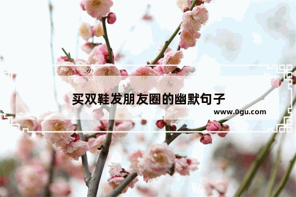 买双鞋发朋友圈的幽默句子