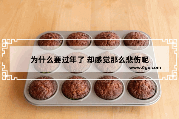 为什么要过年了 却感觉那么悲伤呢
