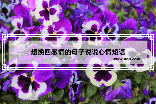 想挽回感情的句子说说心情短语