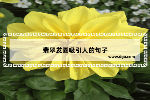 翡翠发圈吸引人的句子