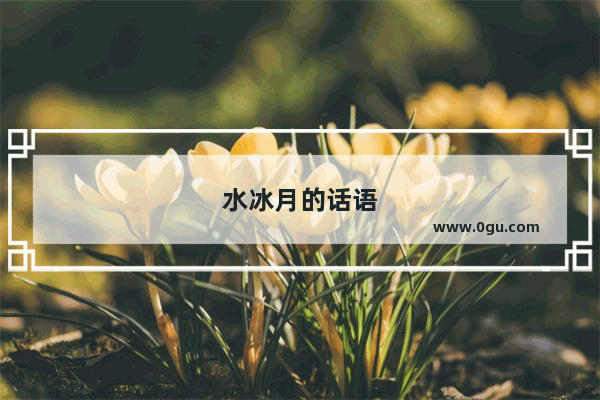 水冰月的话语