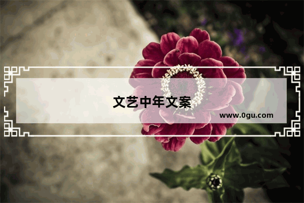 文艺中年文案