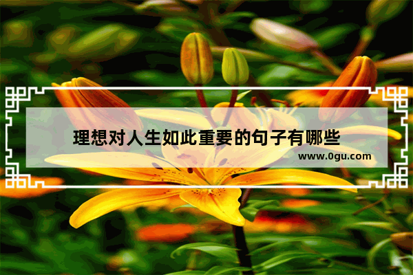 理想对人生如此重要的句子有哪些