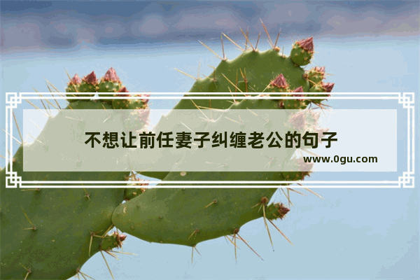 不想让前任妻子纠缠老公的句子