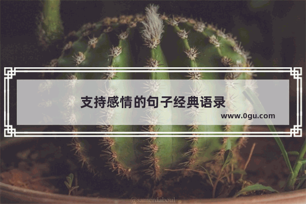 支持感情的句子经典语录