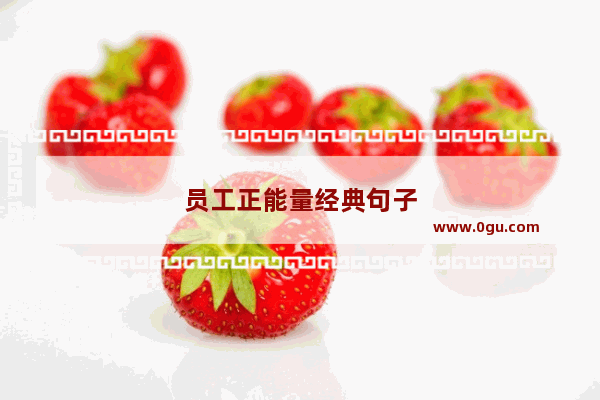 员工正能量经典句子