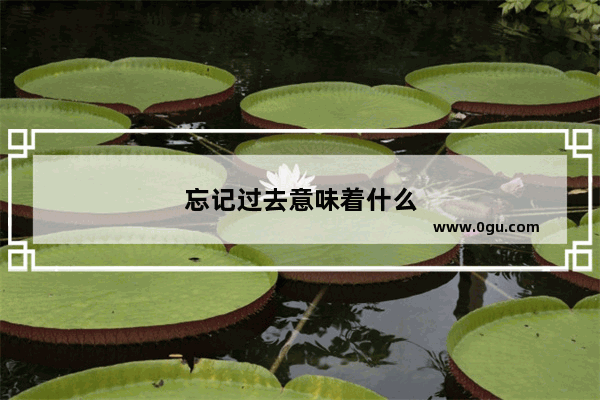 忘记过去意味着什么