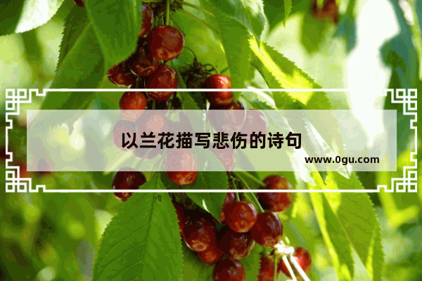 以兰花描写悲伤的诗句