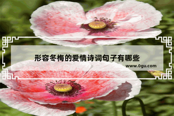 形容冬梅的爱情诗词句子有哪些