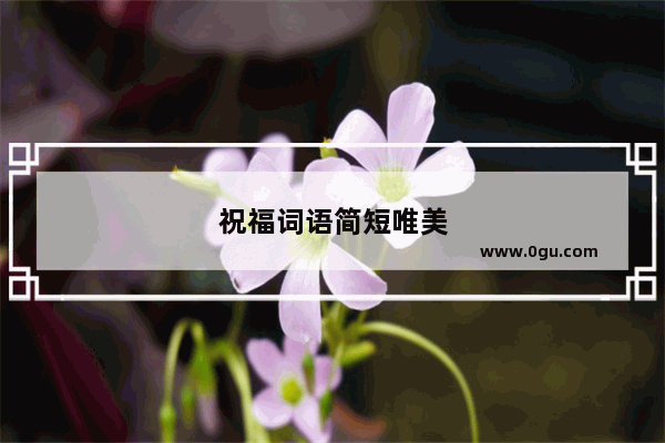 祝福词语简短唯美