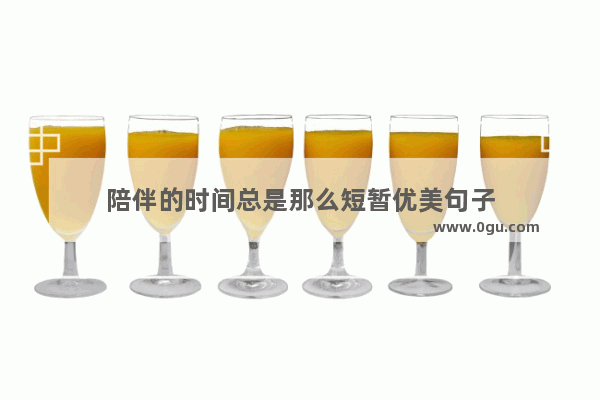陪伴的时间总是那么短暂优美句子