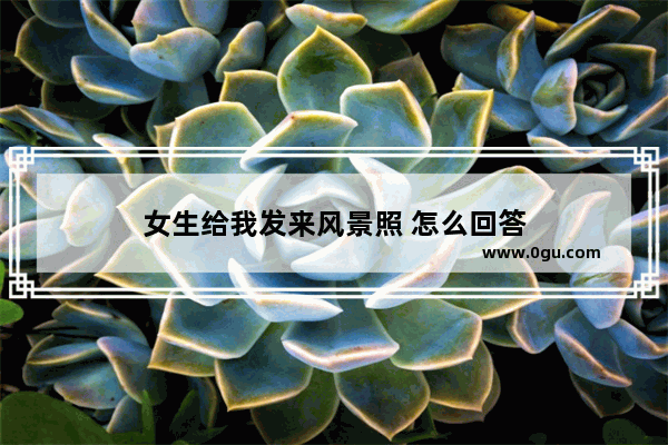 女生给我发来风景照 怎么回答