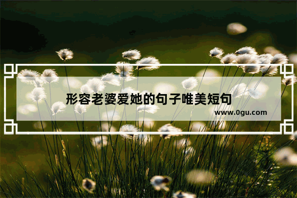 形容老婆爱她的句子唯美短句