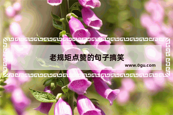 老规矩点赞的句子搞笑