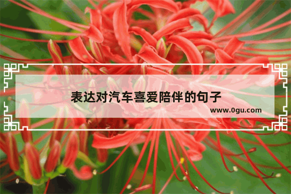 表达对汽车喜爱陪伴的句子