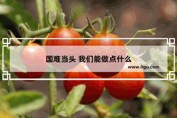 国难当头 我们能做点什么