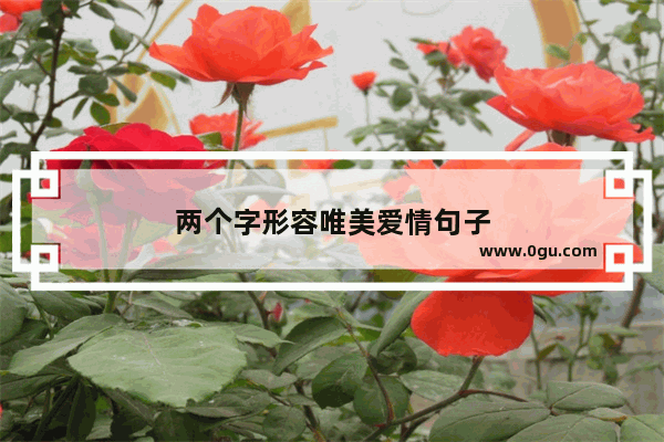 两个字形容唯美爱情句子