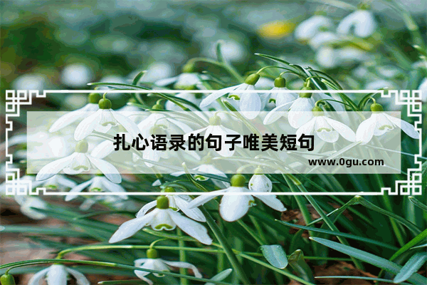 扎心语录的句子唯美短句