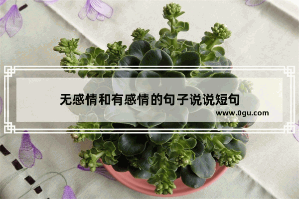 无感情和有感情的句子说说短句