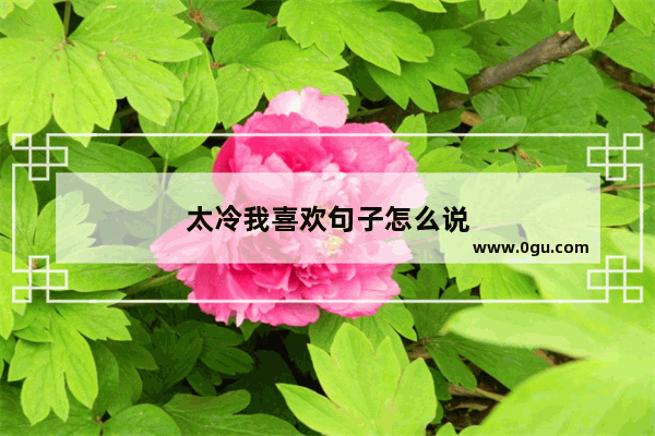 太冷我喜欢句子怎么说