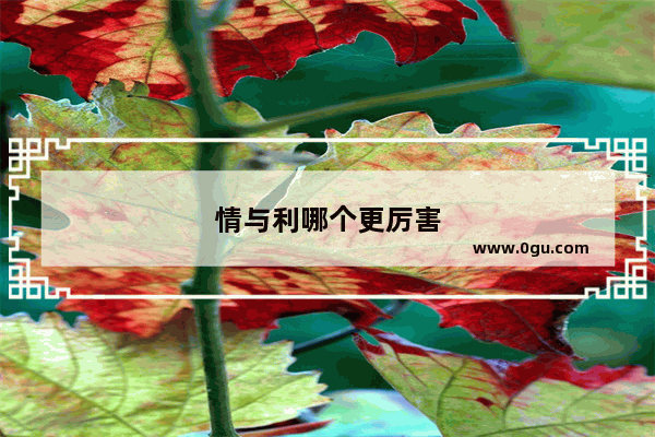 情与利哪个更厉害