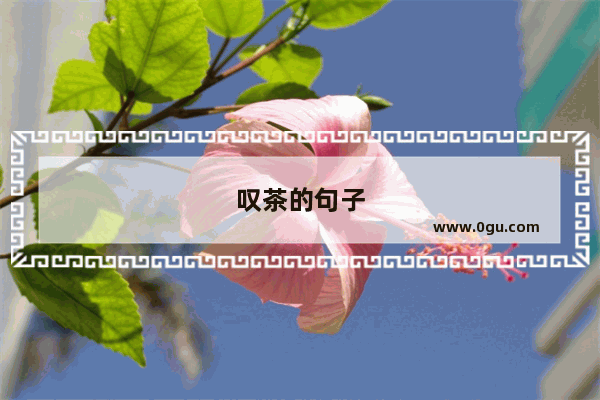 叹茶的句子