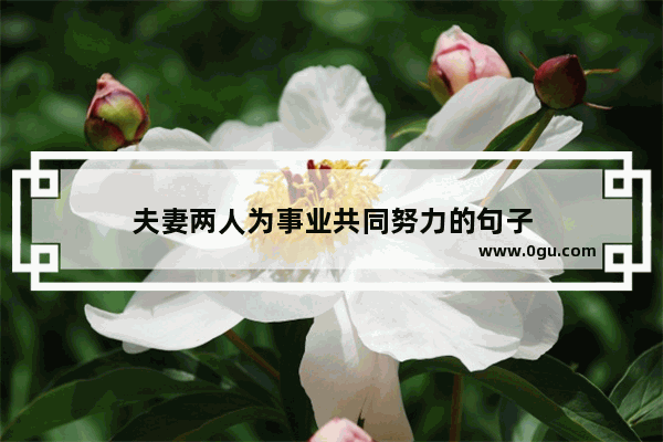夫妻两人为事业共同努力的句子