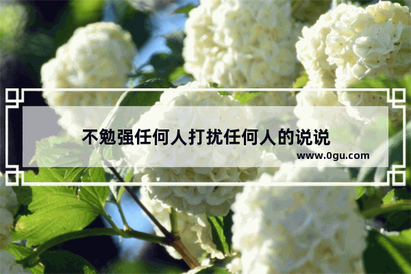 不勉强任何人打扰任何人的说说