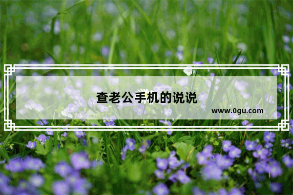 查老公手机的说说