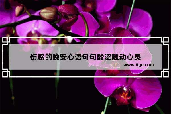 伤感的晚安心语句句酸涩触动心灵