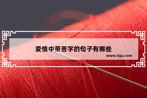 爱情中带苦字的句子有哪些