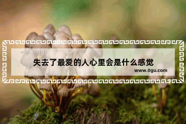 失去了最爱的人心里会是什么感觉