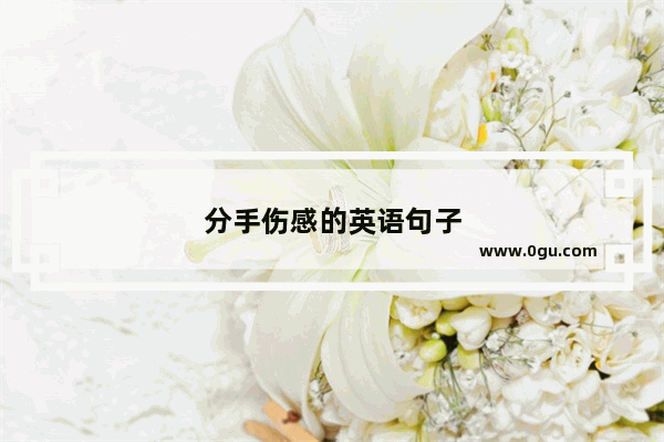 分手伤感的英语句子