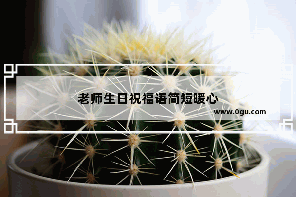 老师生日祝福语简短暖心