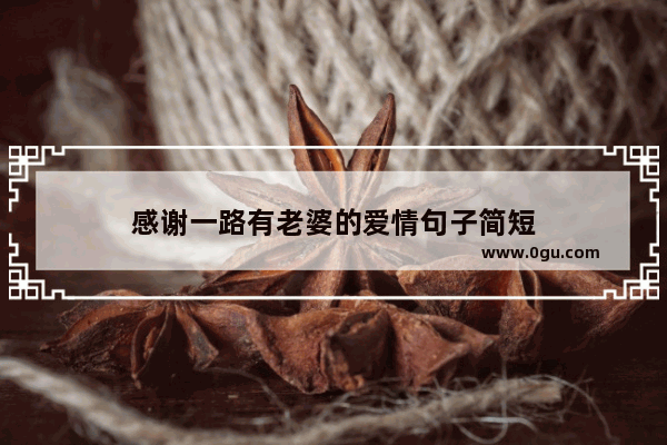 感谢一路有老婆的爱情句子简短