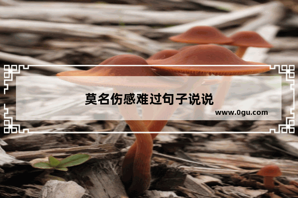 莫名伤感难过句子说说